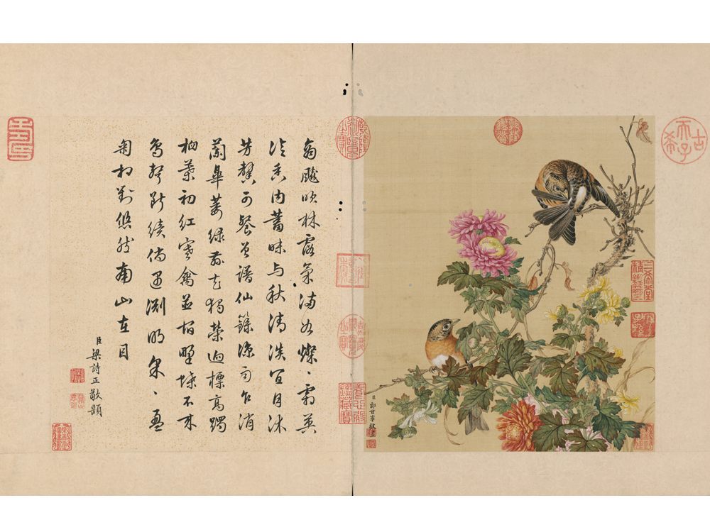 图片[1]-Lang Shining Flowers and Birds Illustrated Books-China Archive